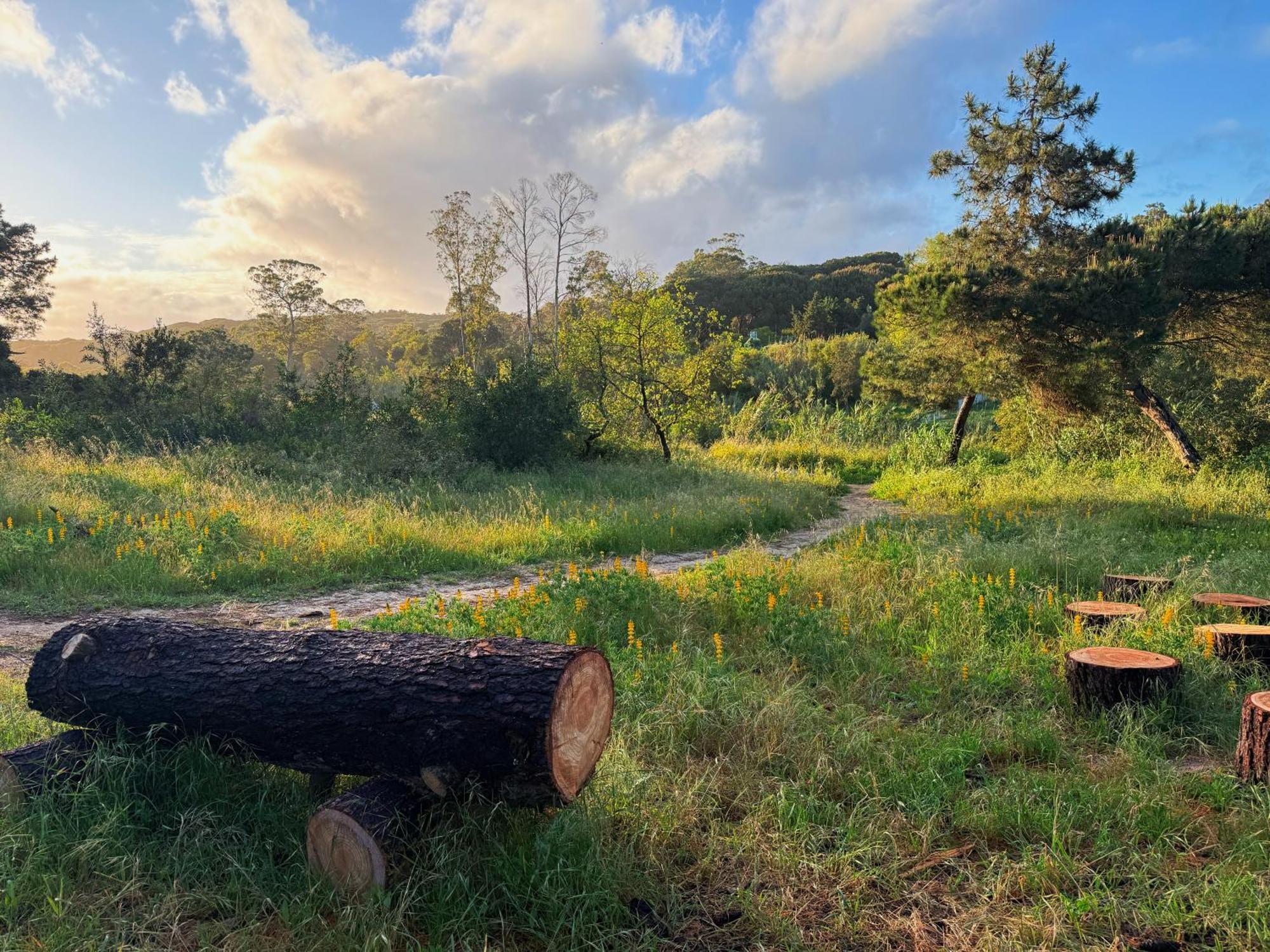 Coastal Garden Paradise Retreat- 6 Min From The Beach Charneca  Εξωτερικό φωτογραφία