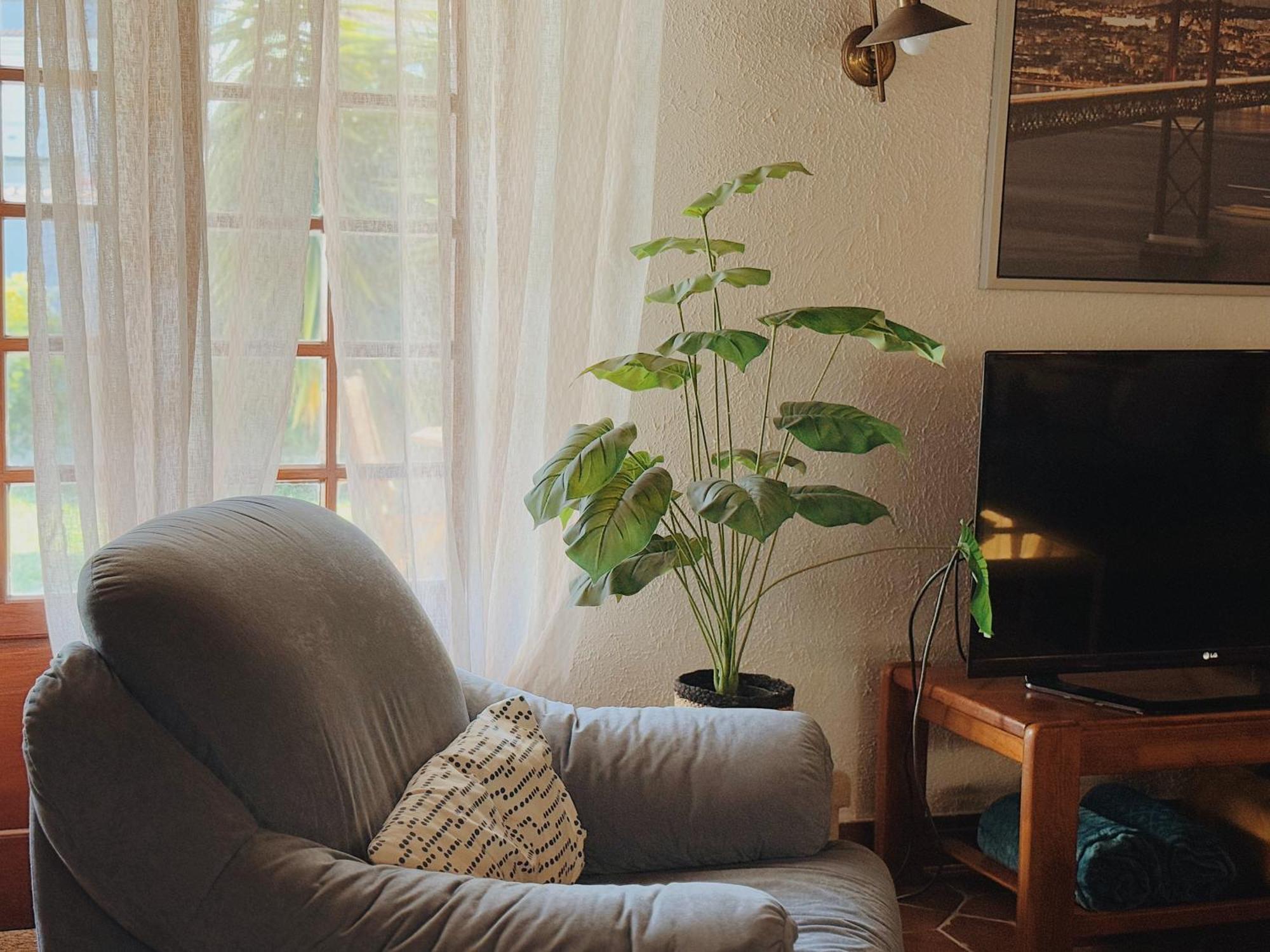 Coastal Garden Paradise Retreat- 6 Min From The Beach Charneca  Εξωτερικό φωτογραφία
